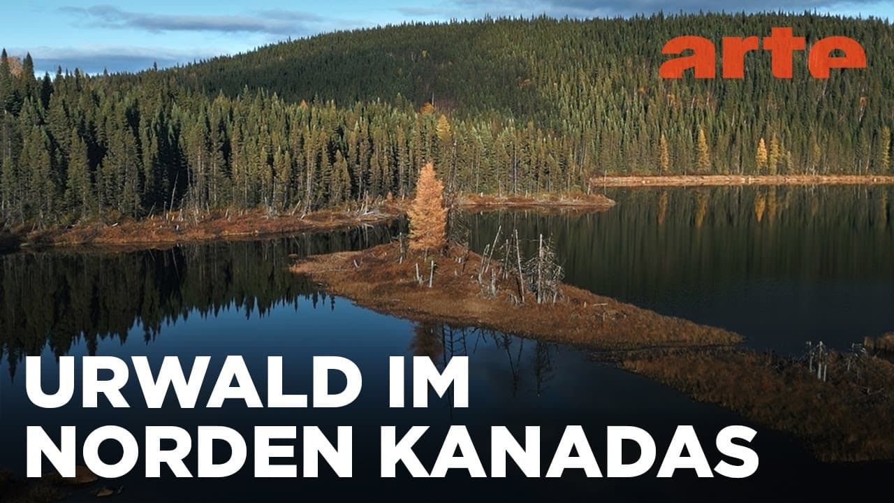 Das nördliche Québec | Naturerbe Kanada | ARTE Family